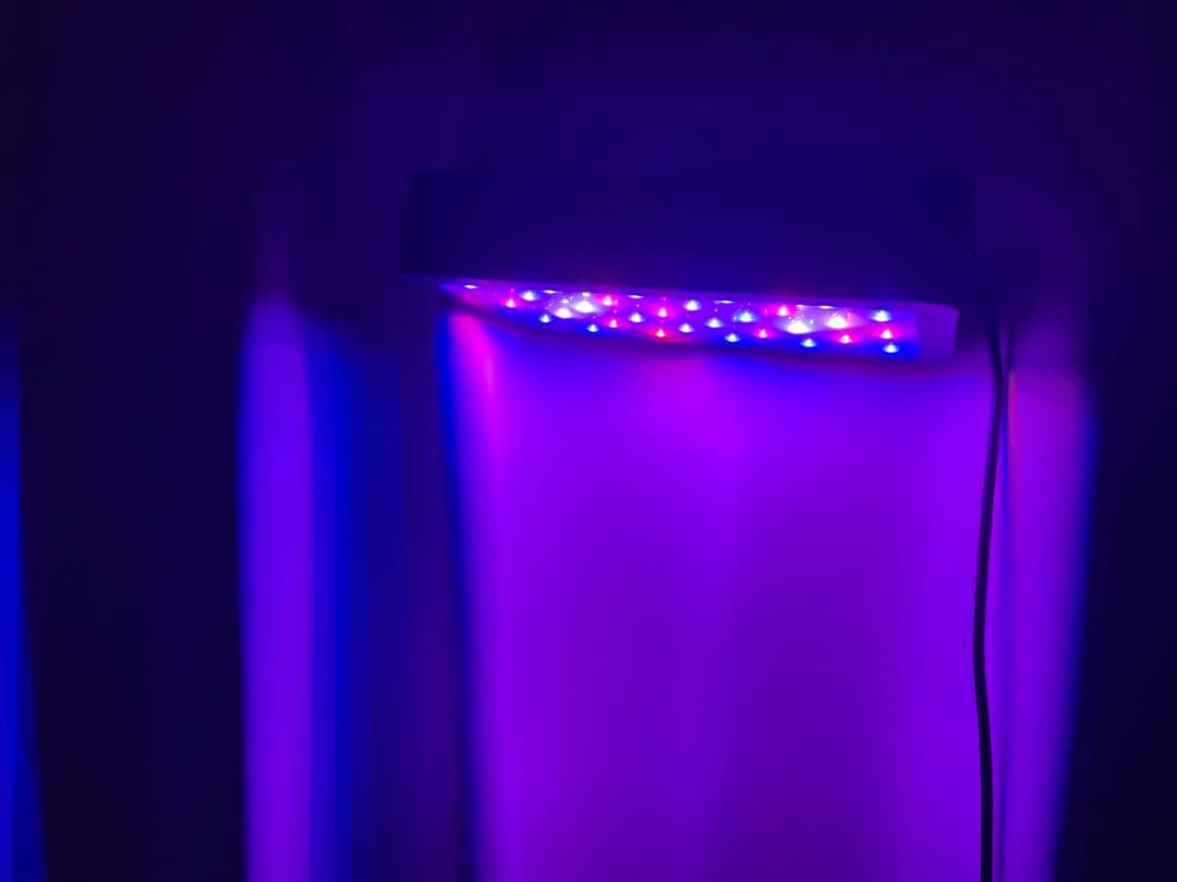 LED植物育成ライト 3個セット　値下げ