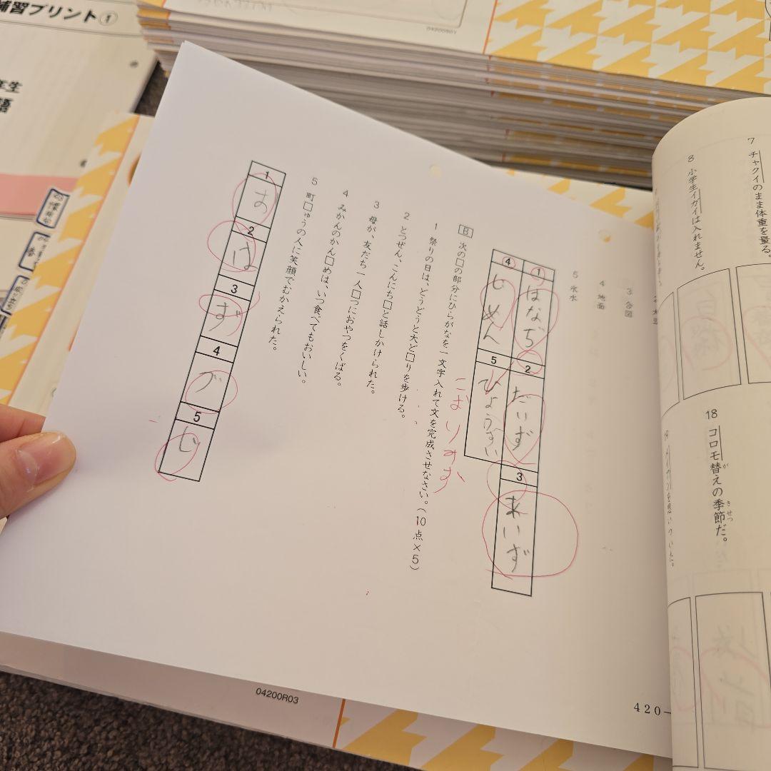 グノーブル　国語 4年生 教材 セット