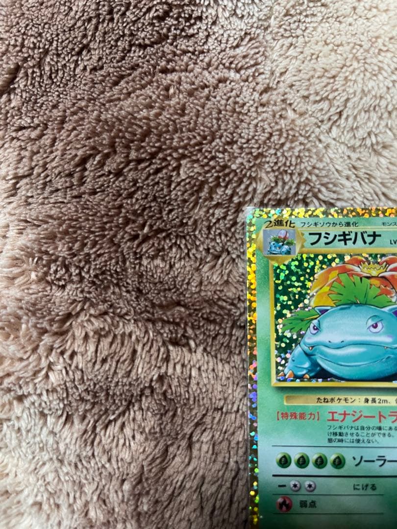 カメックス プロモカードパック 25th ANNIVERSARY editio…