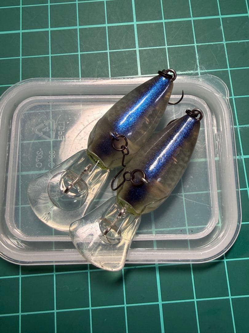 ティモン　パニクラDR MR オオツカオリカラ　恵比寿　激レア