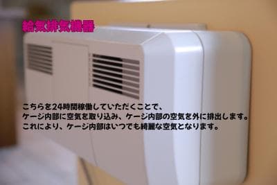 新品未使用｜防音ケージ｜小型犬向け｜キャスター付き｜ヒノキ材｜001