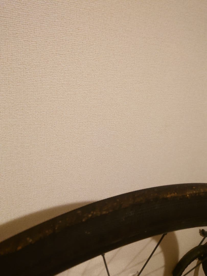 TREK DOMANE 2 2022年12月購入 サイズ54