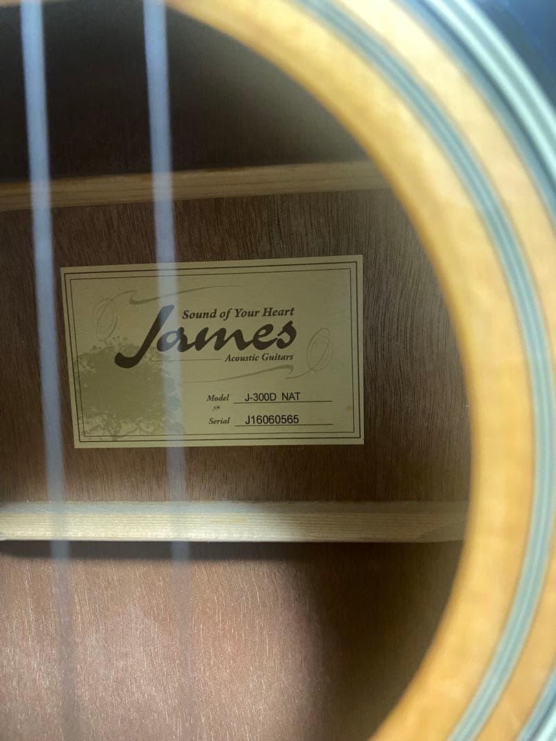James J-300D NAT アコースティックギター