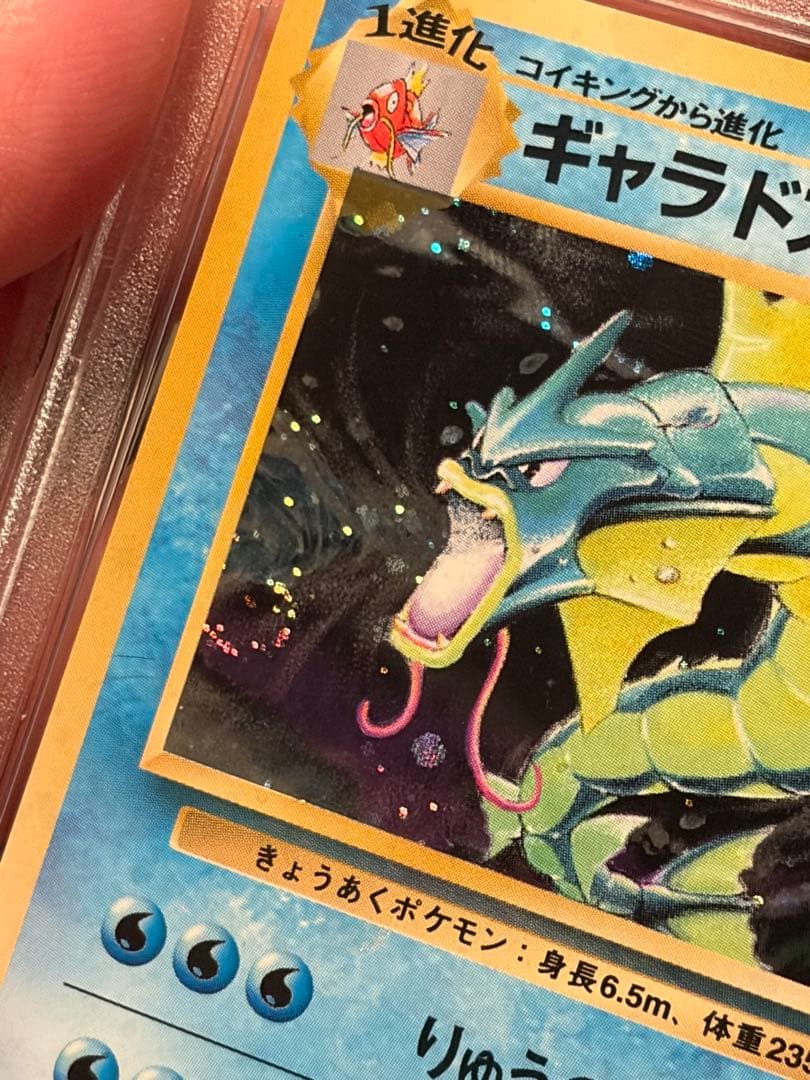 PSA10 ギャラドス　旧裏　第1弾拡張パック　渦巻き　ホロ