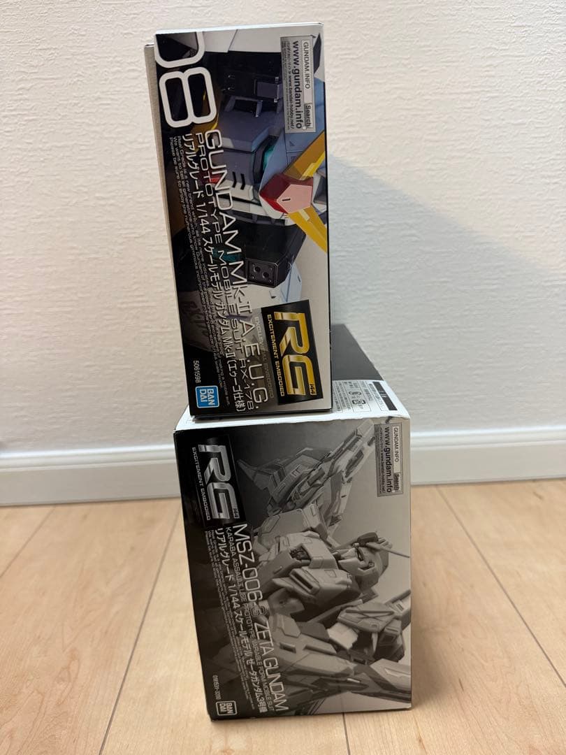 特限〜P還元中 RGガンプラ2体セット