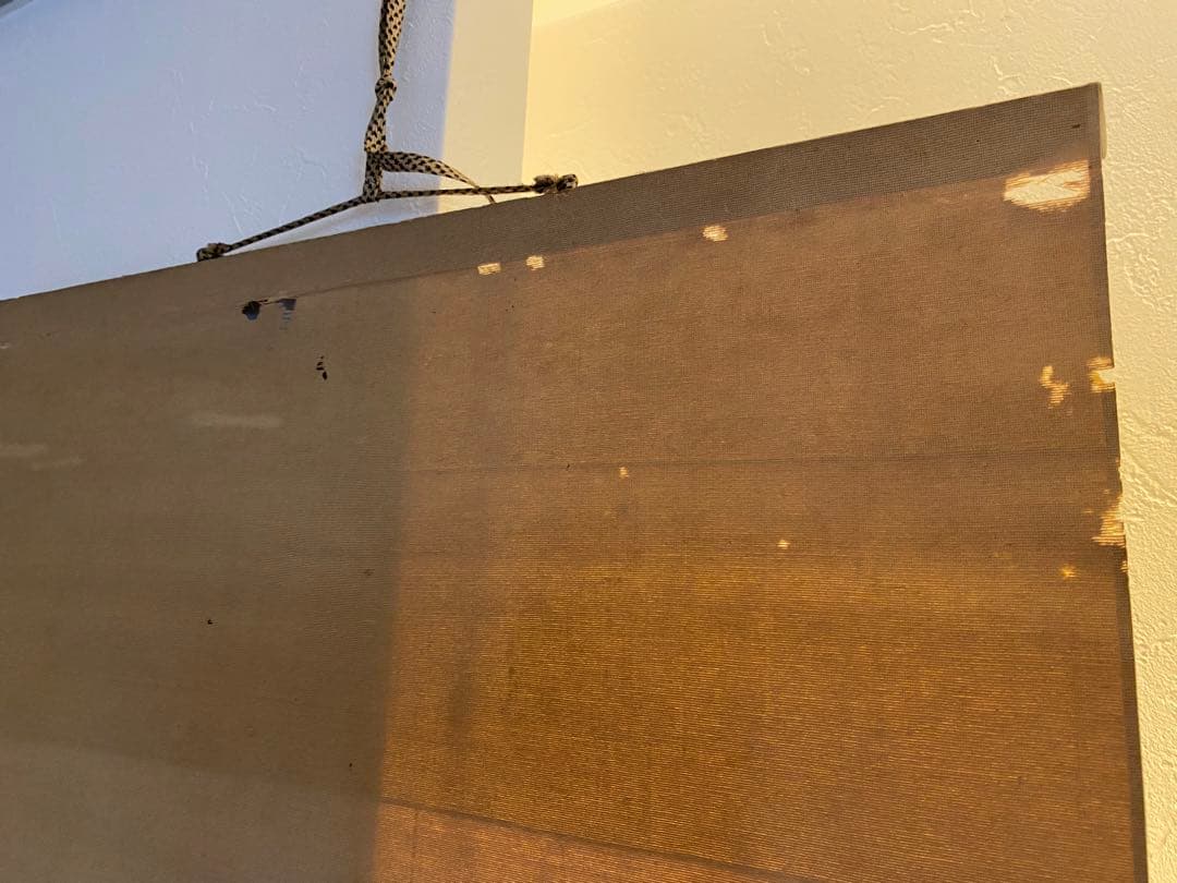 西山芳園　芳園　紙本　扇面　アサガオ　朝顔　牽牛花　茶掛