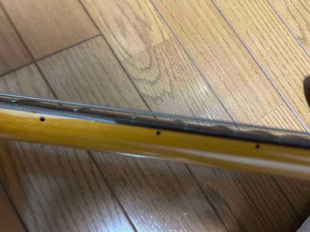 Fender  Cobain Jagstangジャグスタング
