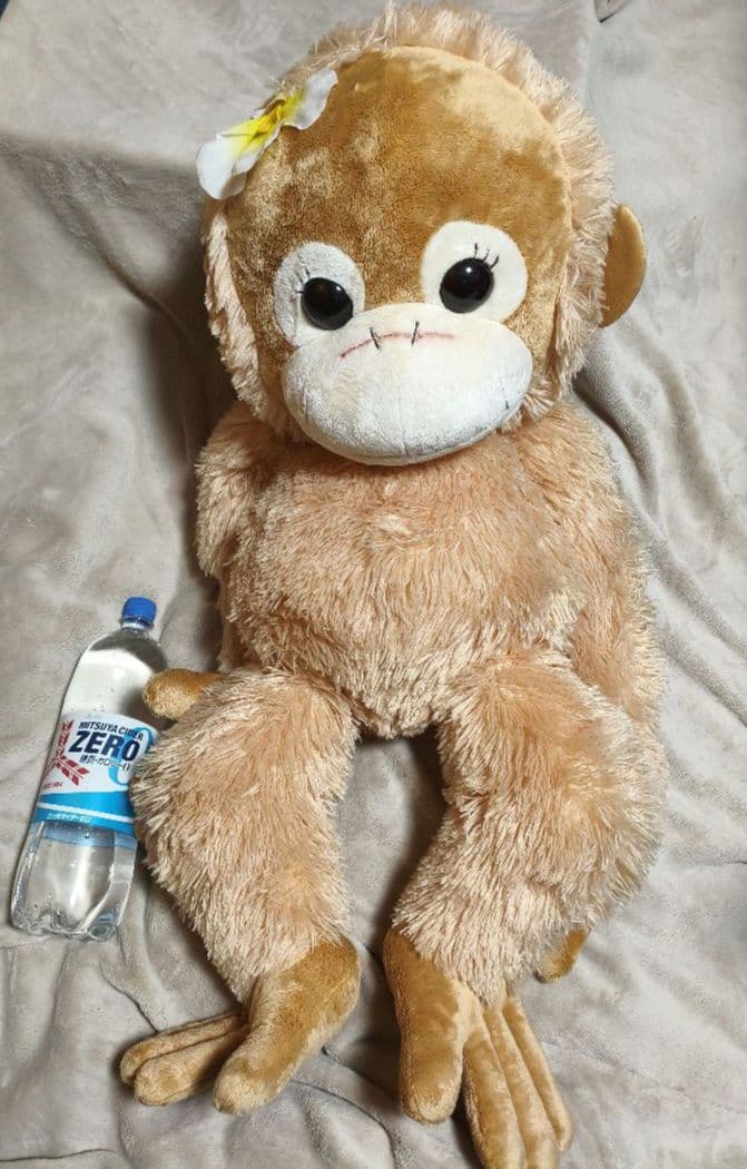 Baby Coco&Natsu 　ベイビーココ＆ナッツ　2L タグ有り