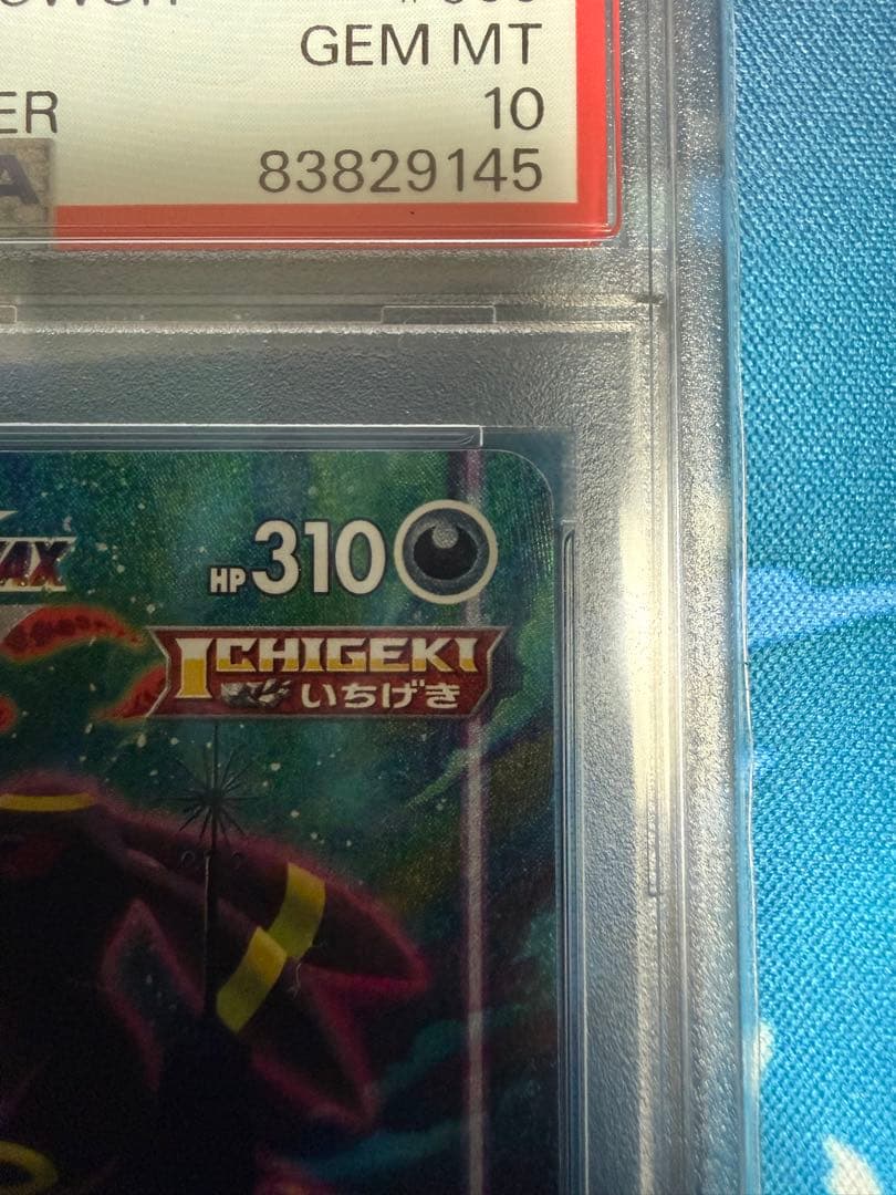 初版PSA10 ブラッキーVMax SA HR