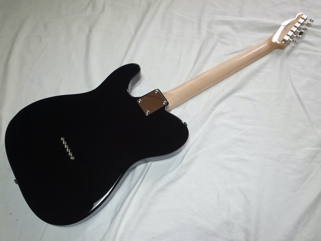 超美品　ESP GrassRoots G-TE/M テレキャスター