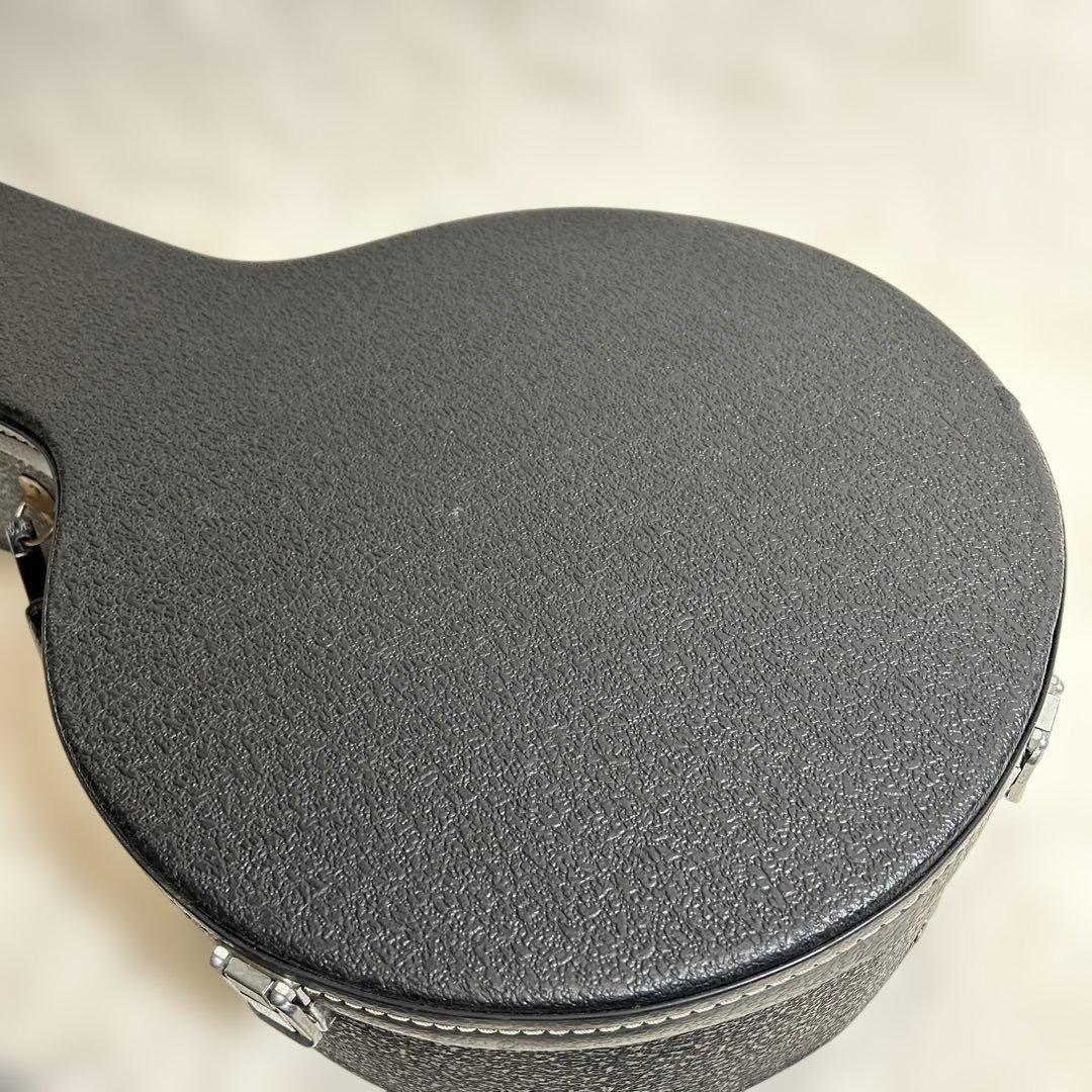 Aria アリア SB-600 5弦 デラックスバンジョー　BANJO 超希少
