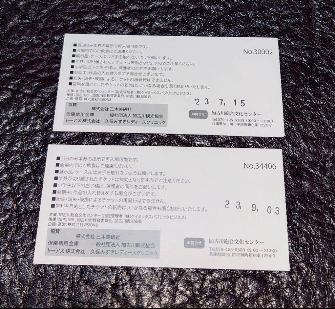 灼眼のシャナ　いとうのいぢ　直筆サイン入り　シリアルナンバー1桁　当時入場券付き