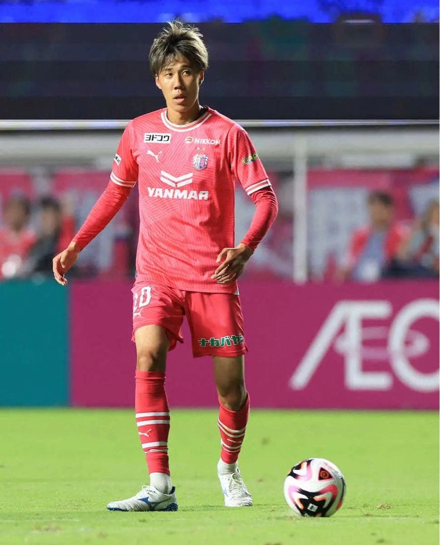田中駿汰Lサイズセレッソ大阪ユニフォーム