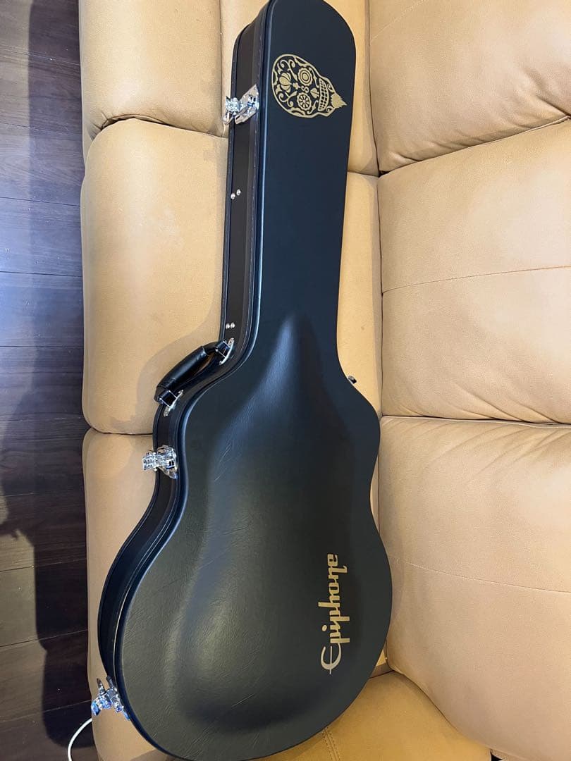 ヌードルカリー 　Epiphone Shinichi Ubukata