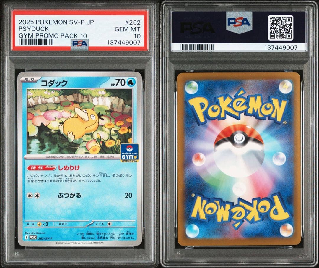 PSA10 コダック　プロモ　しめりけ　262/SV-P 5連番