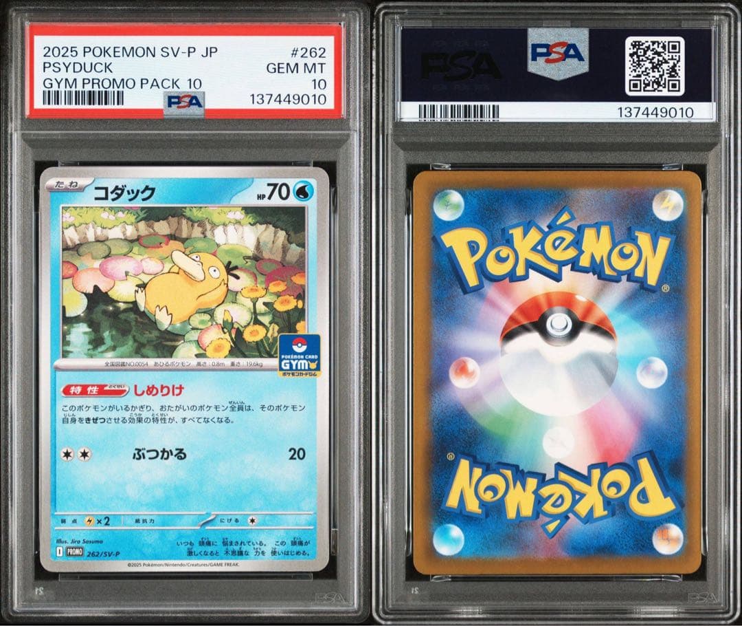 PSA10 コダック　プロモ　しめりけ　262/SV-P 5連番