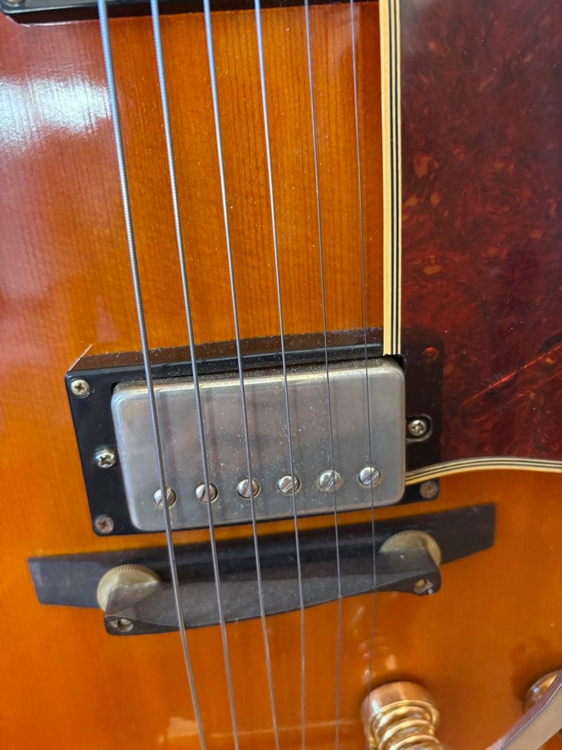 最終値下げ‼️ Epiphone Joe Pas Emperor Ⅱ‼️