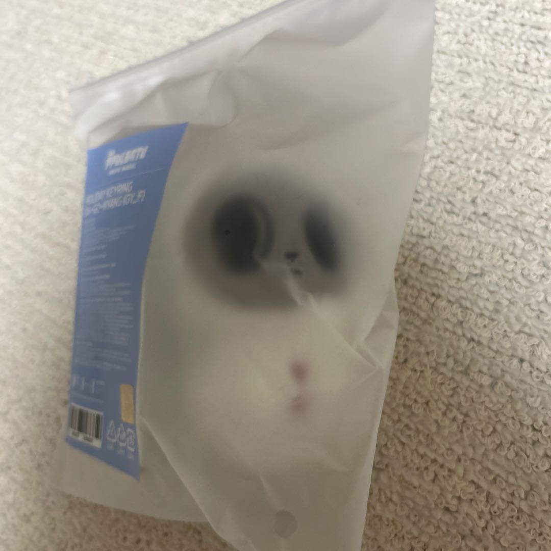 TXTプルバトゥ ダゴニャン バムグッ