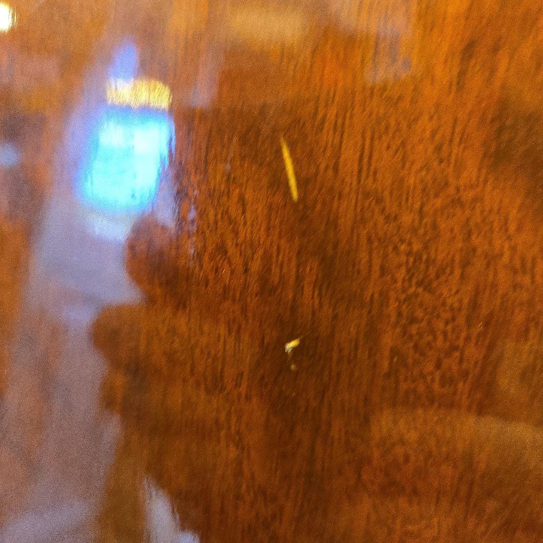 TOKAI Cat’s Eye CE-350 訳あり アコースティックギター