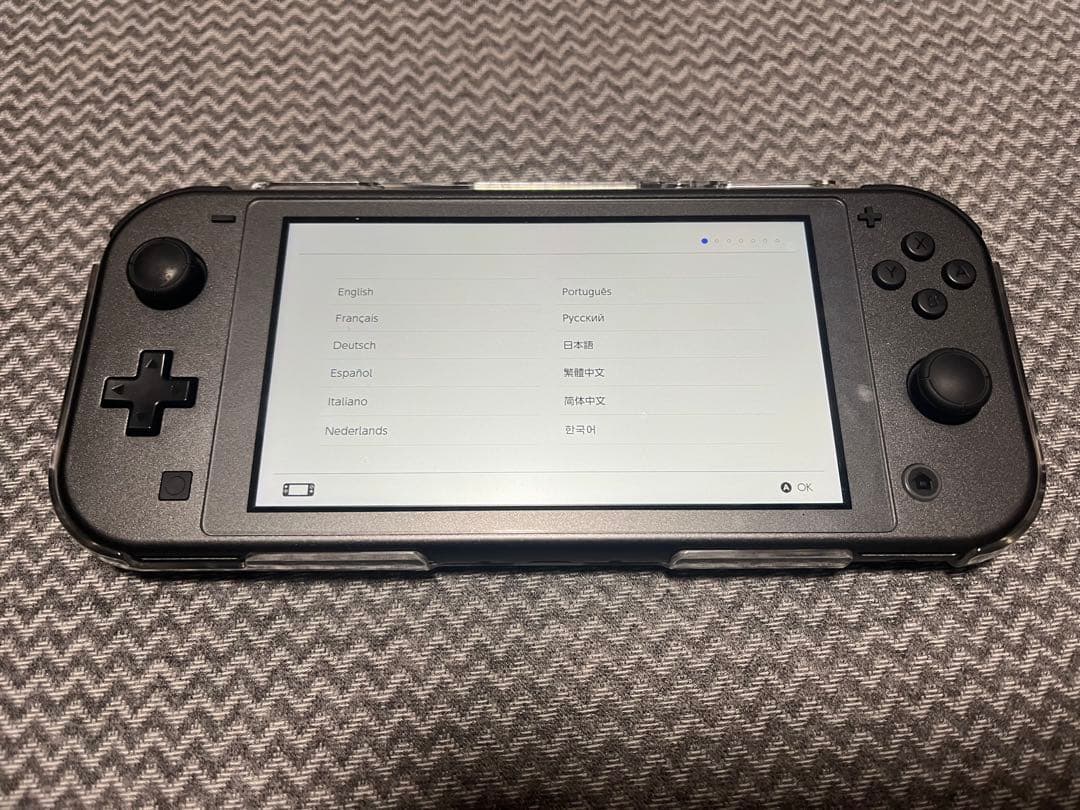 Nintendo Switch Lite ディアルガ・パルキア カセット2個
