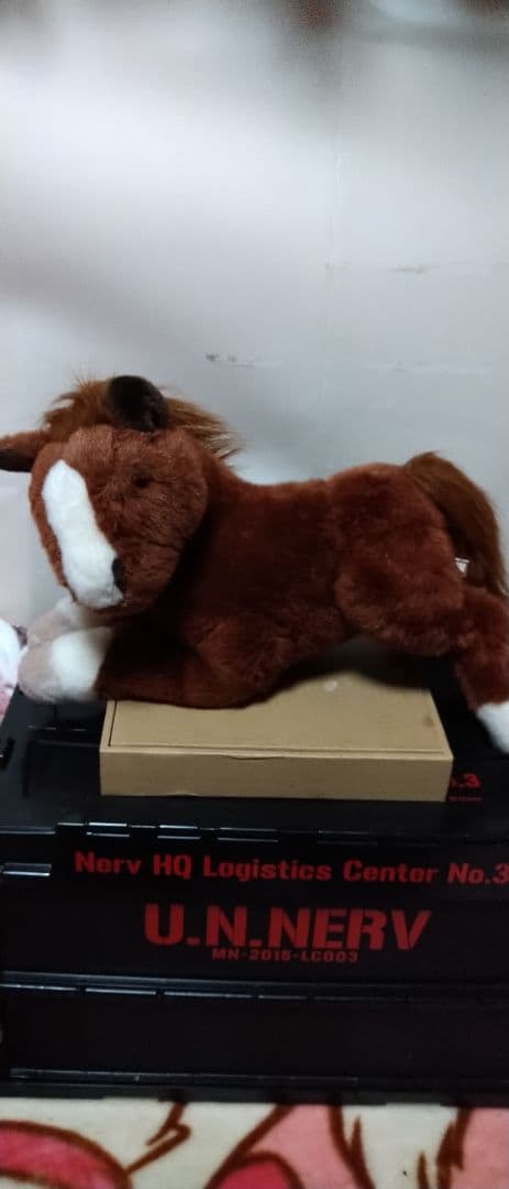 優駿オラシオン ぬいぐるみ
