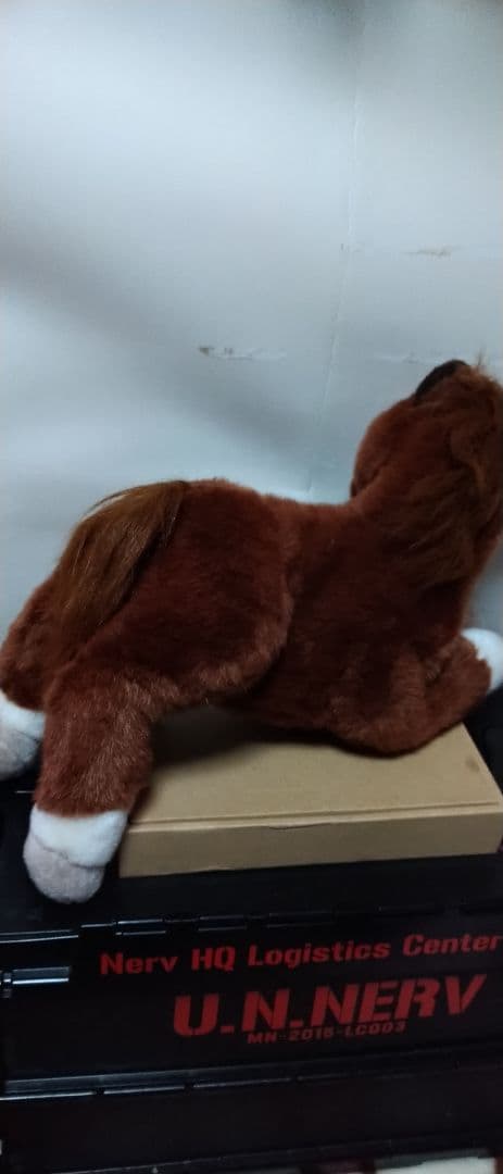 優駿オラシオン ぬいぐるみ