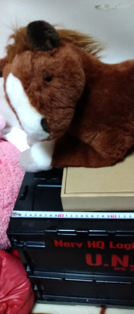 優駿オラシオン ぬいぐるみ