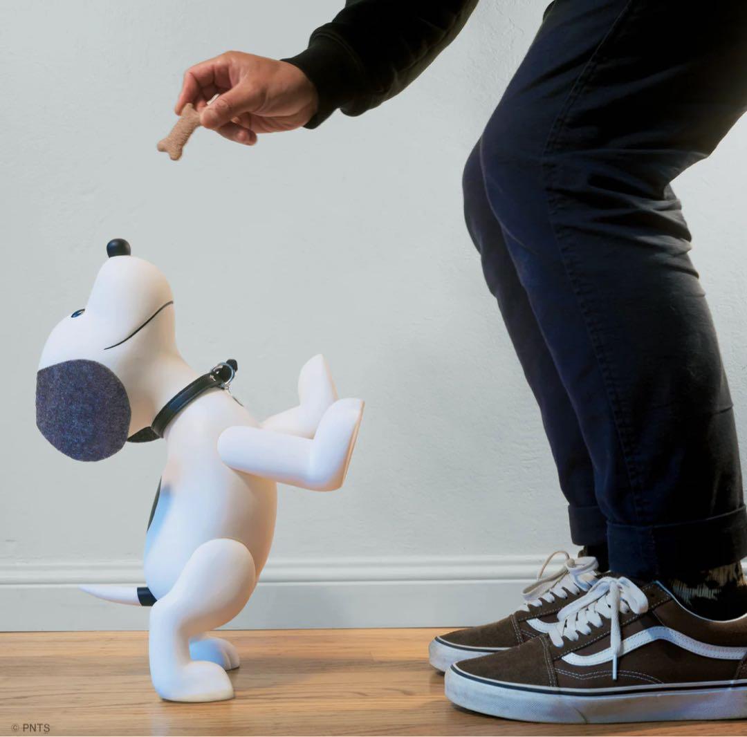 その他 Snoopy (Charcoal)