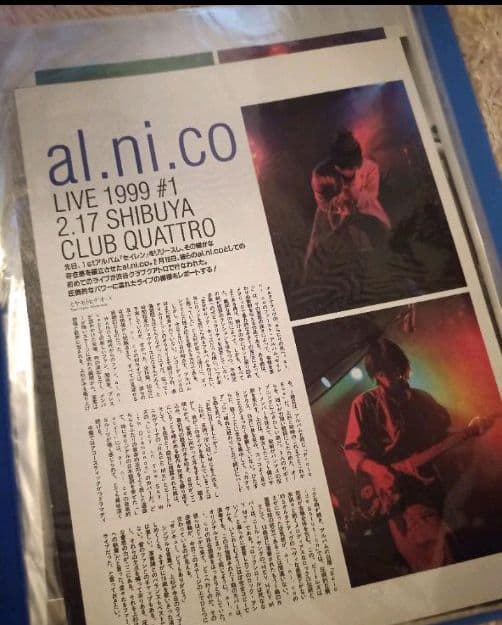 al.ni.co(WANDS)＋α