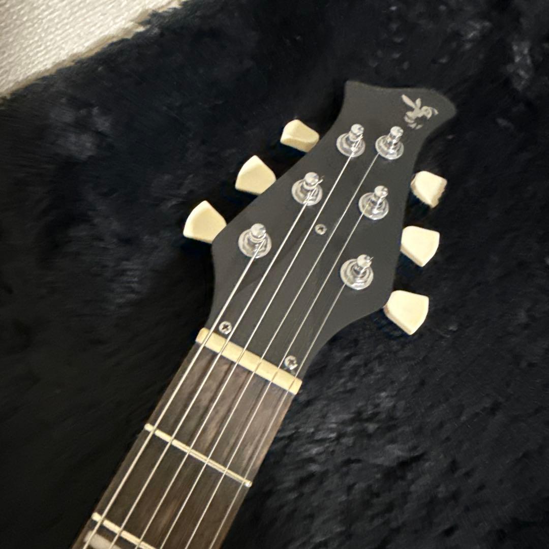 Ryoga HORNET エレキギター スルーネック 黒 木目 弦楽器