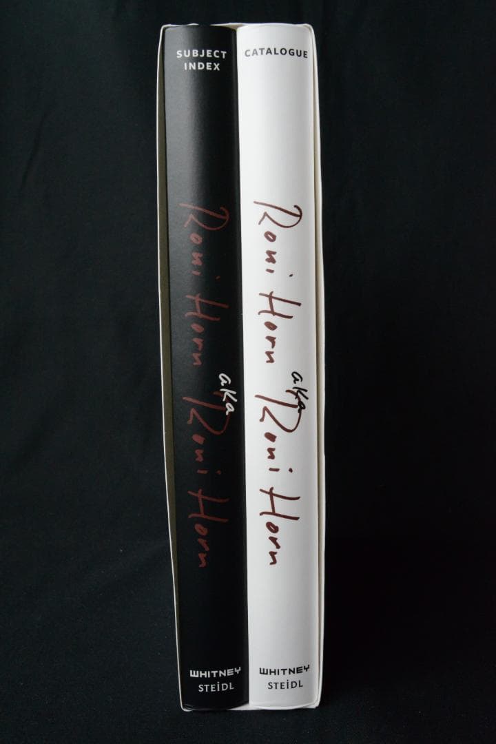【Roni Horn aka Roni Horn】Roni Horn新品未読品