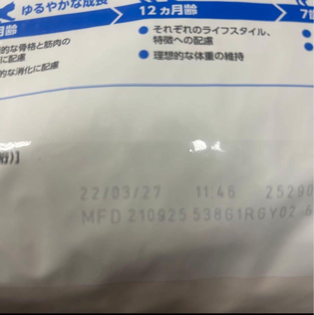 R*e様 ロイヤルカナン　室内で生活する成猫用　インドア　 合計8kg