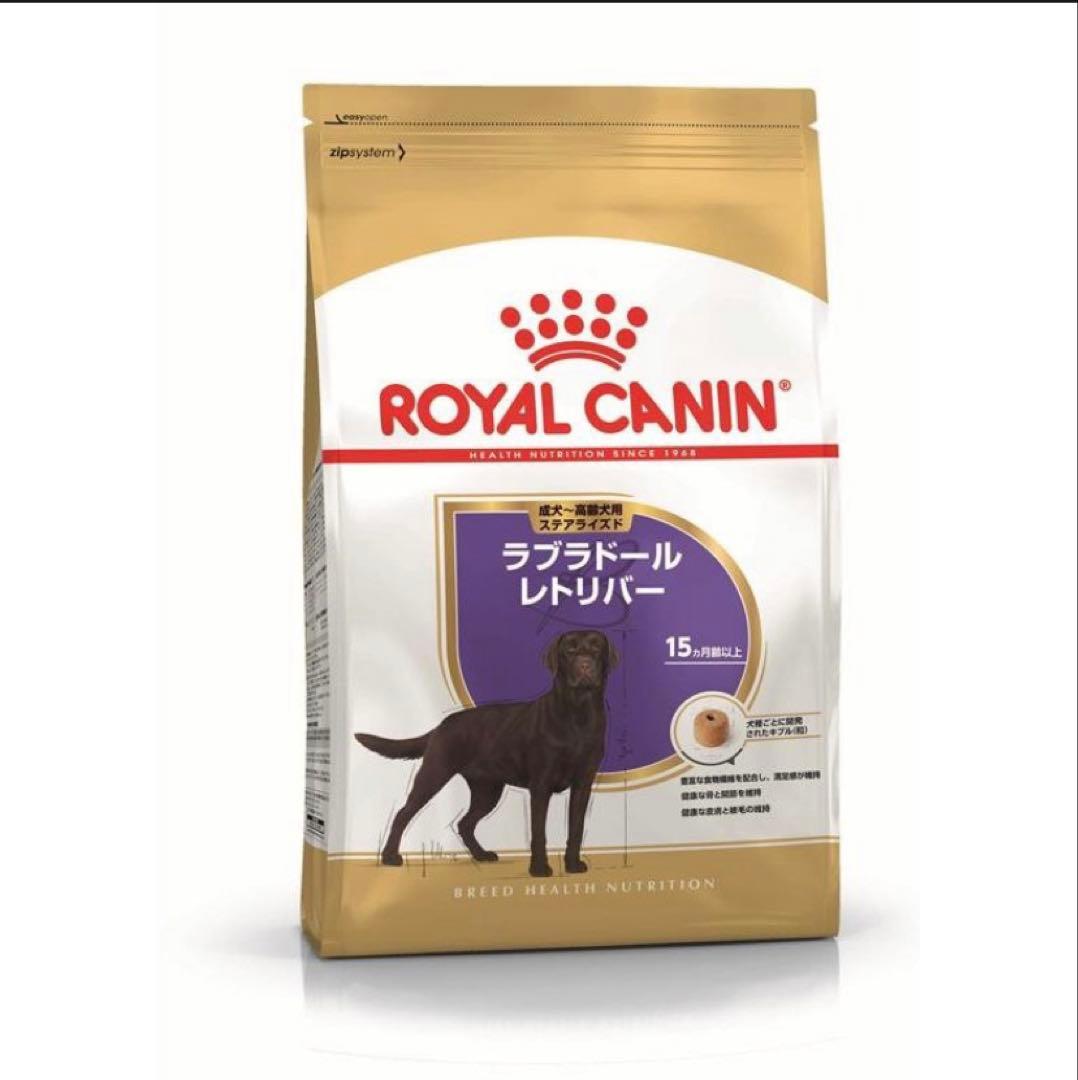 ティンカーベル