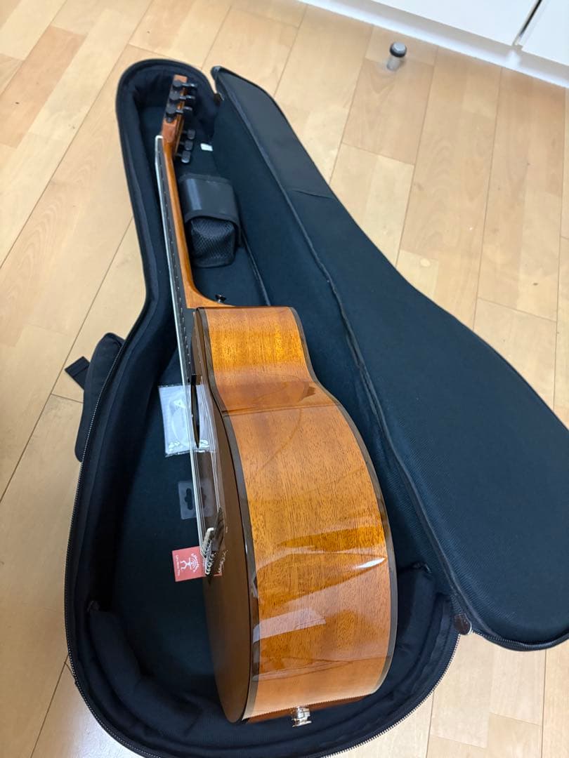aNueNue MN14E ナイロン弦モデル【値下げしました】