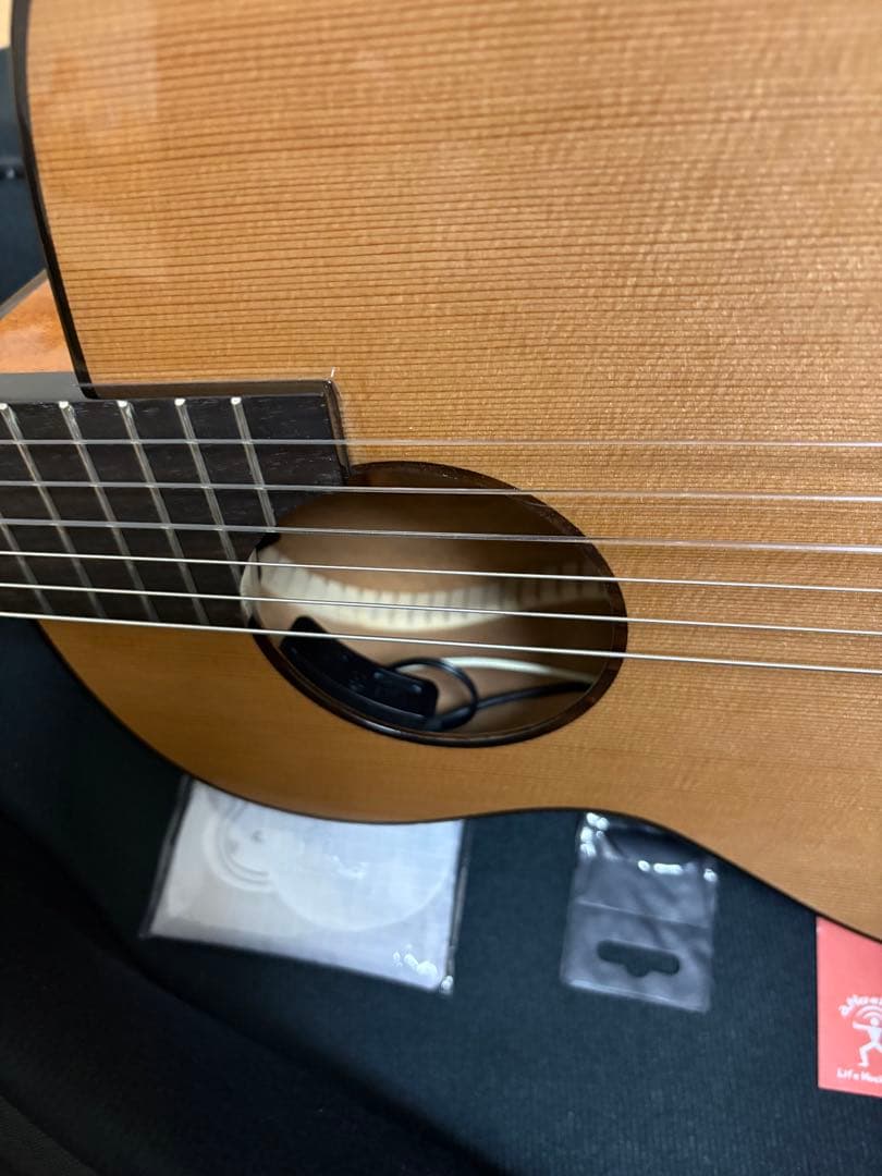 aNueNue MN14E ナイロン弦モデル【値下げしました】