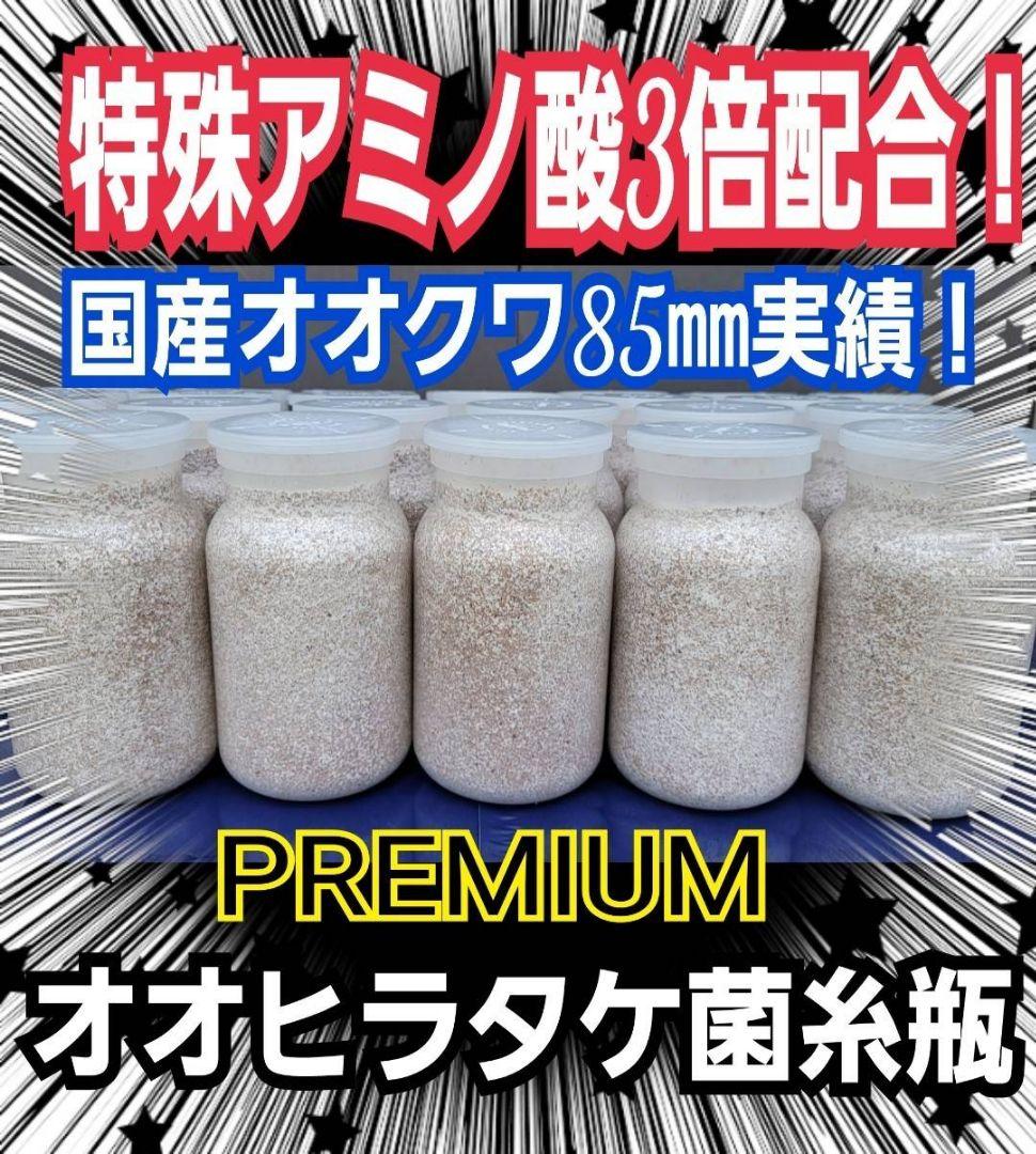 極上！オオヒラタケ菌糸瓶【8本】特殊アミノ酸強化！オオクワ、ヒラタ、ニジイロに！