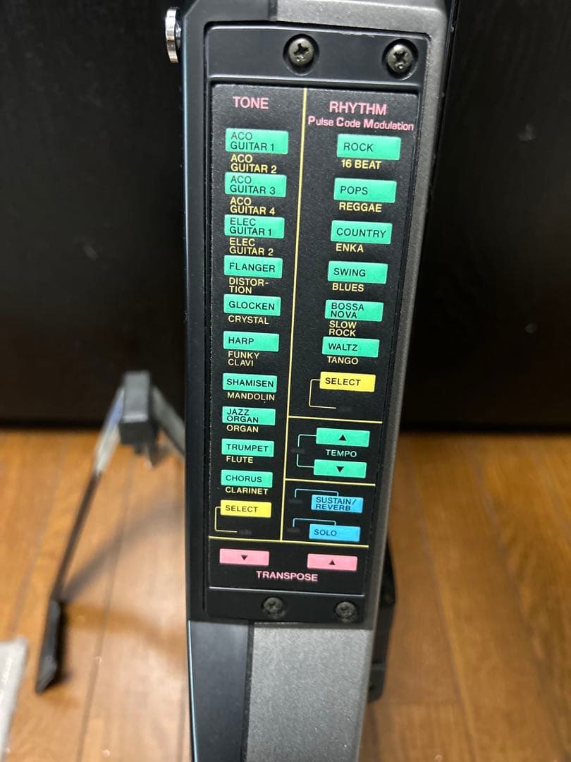 カシオ　DG-20 デジタルギター