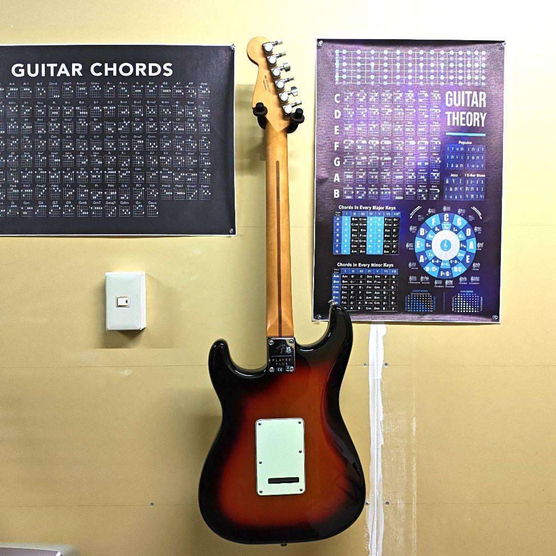 ギター Fender Player Plus Stratocaster