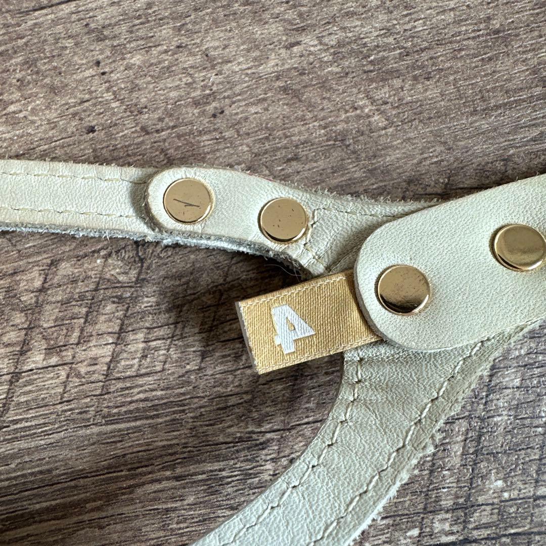 バディベルト　 BB バハマ 4号　 アクセントリード