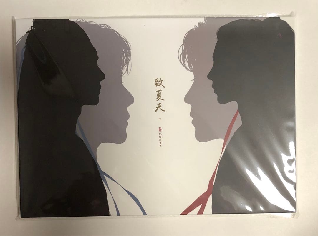 激レア 博君一肖 陳情令 王一博 肖战 A4カードフルセット【狐狸大王 致夏天】