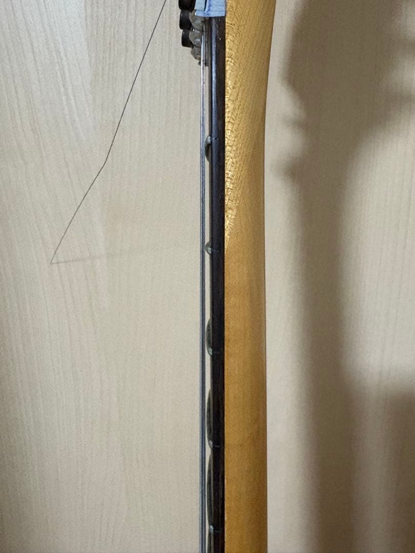 ロストラム Washburn N4 NUNO使用モデル