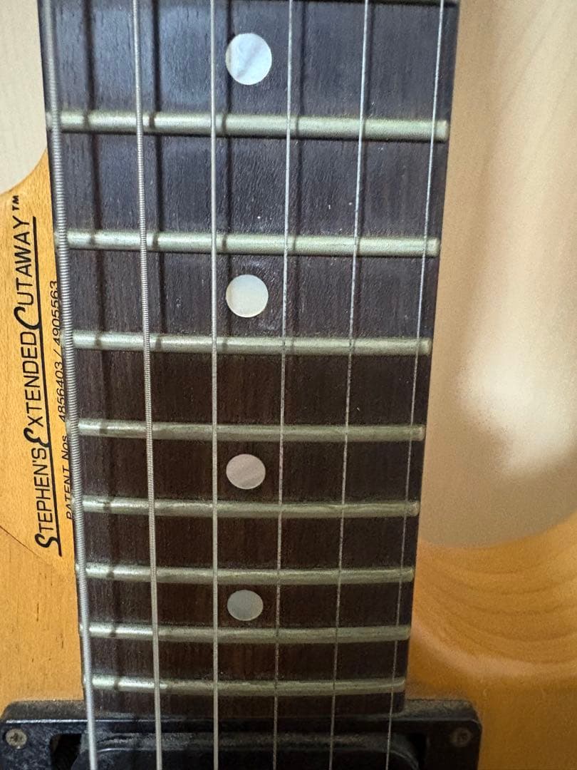 ロストラム Washburn N4 NUNO使用モデル