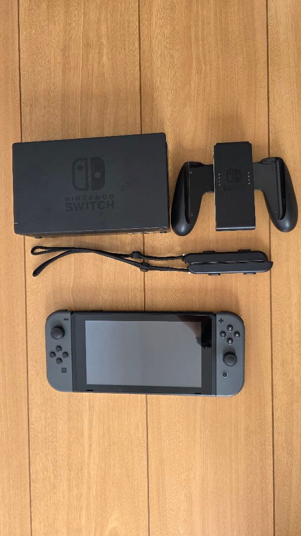Nintendo Switch 本体 グレー （おまけ…プロコン付き）