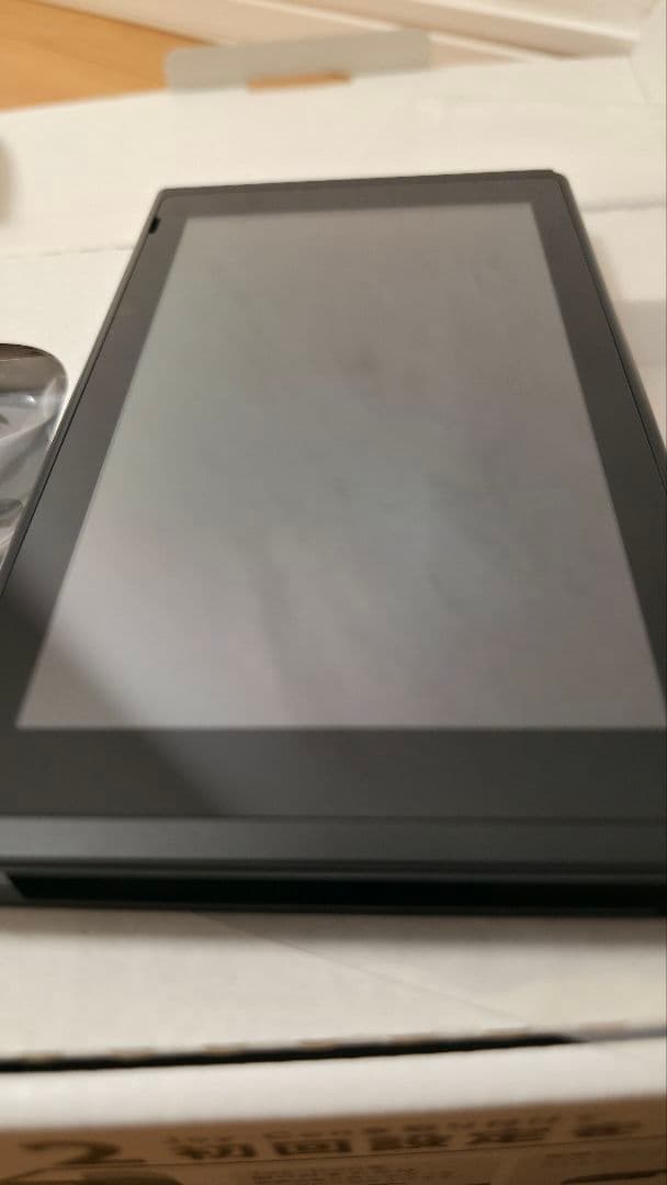 Nintendo Switch 本体 グレー （おまけ…プロコン付き）