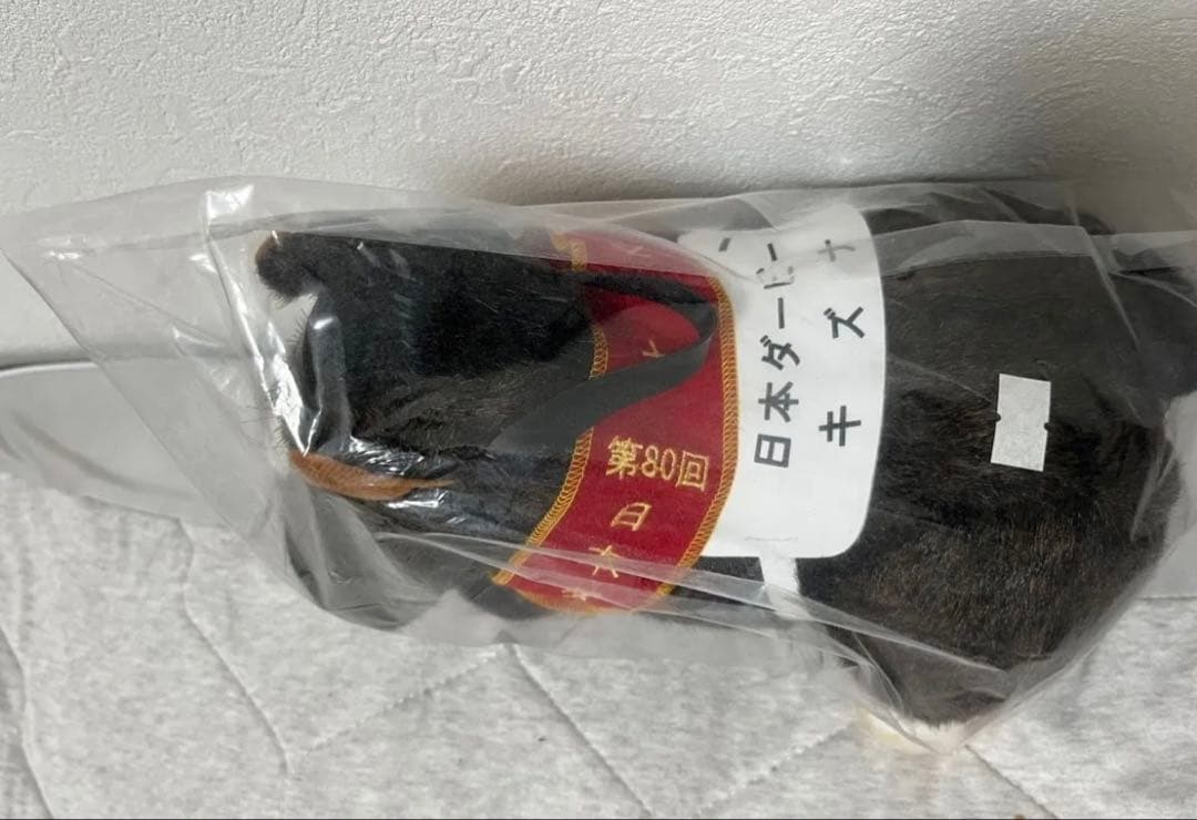 AVANTI キズナ　日本ダービー　ぬいぐるみ sサイズ