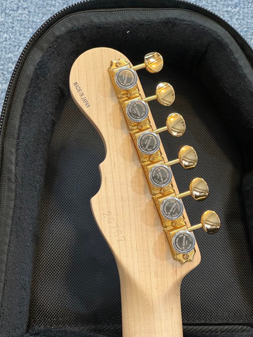 ギター momose MT-HYUGAZAKURA SP 25 E DBL-VGR