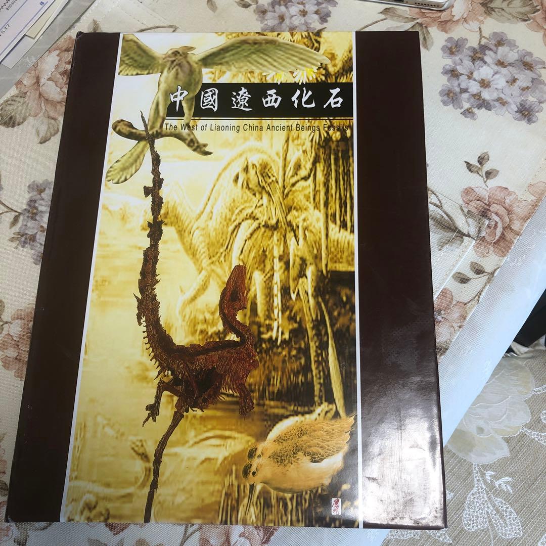 遗石