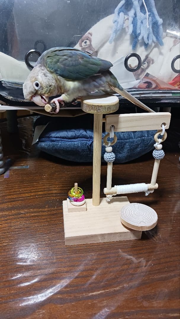 gc10　ミニアスレチック　止まり木　バードトイ　フォージングトイ　文鳥　インコ