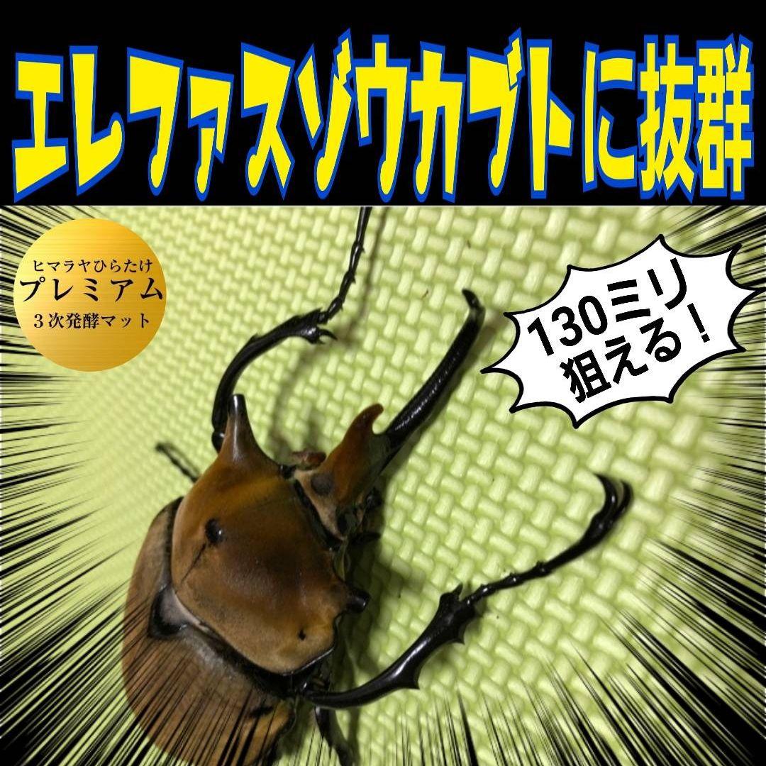 幼虫がビックになる！極上☆プレミアム発酵カブトムシマット【50L】産卵にも抜群！