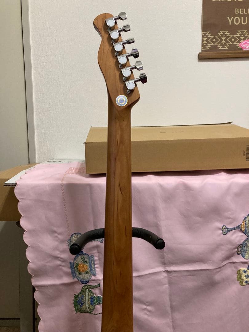 Bacchus BTE-2 rtm OPWテレキャスタータイプ